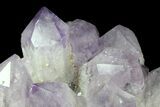 Natural Amethyst Cluster ( lbs) - Massive Points #78141-2